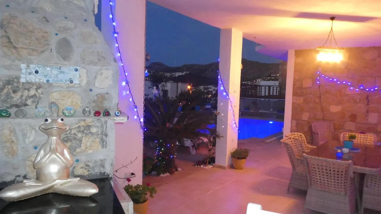 Villa Priene - Gumusluk Private Pool 0*,