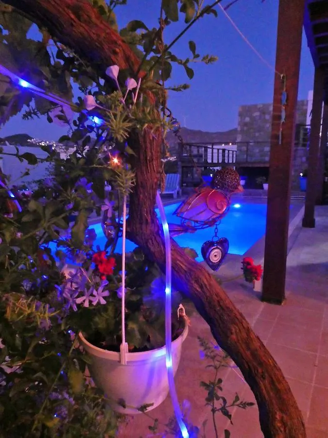 Villa Priene - Gumusluk Private Pool location