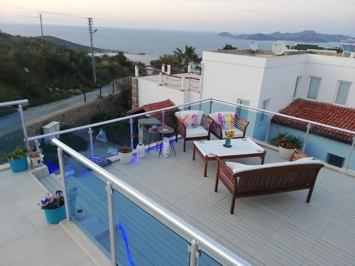 Villa Priene - Gumusluk Private Pool 0*,  Turkey