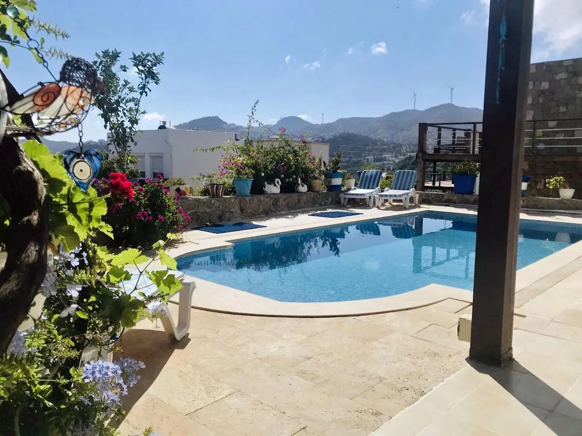 Villa Priene - Gumusluk Private Pool