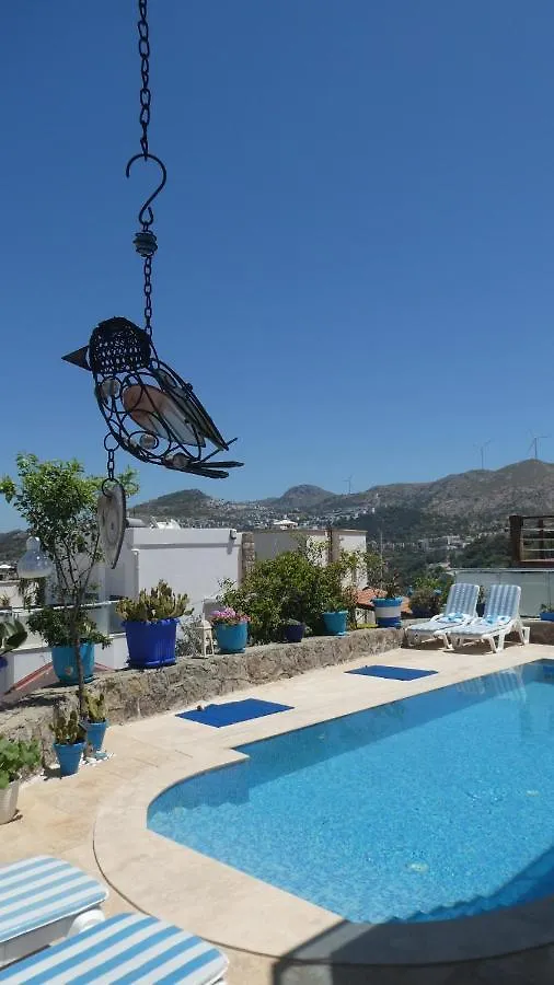 Villa Priene - Gumusluk Private Pool