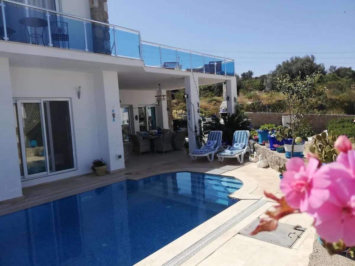 Villa Priene - Gumusluk Private Pool